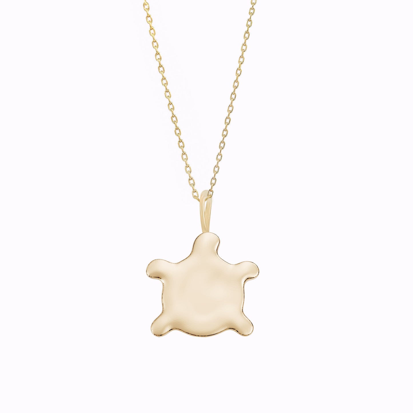 Turtle Charm Necklace 14K Solid Gold | Korean Ten Symbols of Longevity 십장생 거북이
