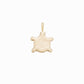 Geobugi Turtle Charm Necklace 14K Solid Gold | The Eternal Ten 거북이 | Ten Symbols of Longevity 십장생 | BY L’AIMÉ NEW YORK 