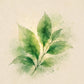 Soop Korean Hangul Forest Malachite Pendant Necklace 숲
